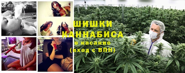 шишки Кулебаки