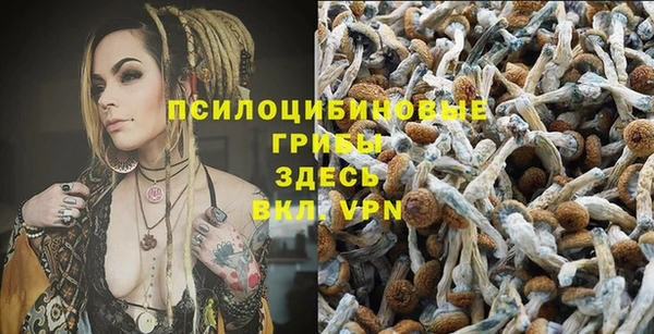 метадон Лагань