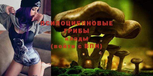 первитин Ладушкин