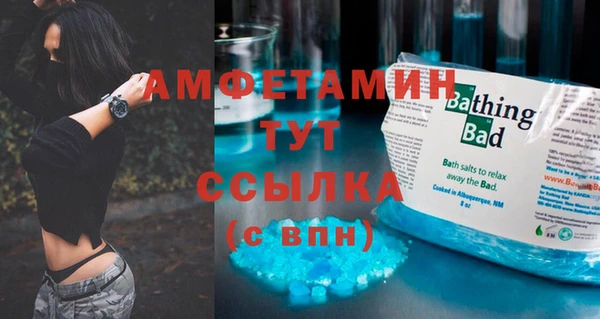 шишки Кулебаки