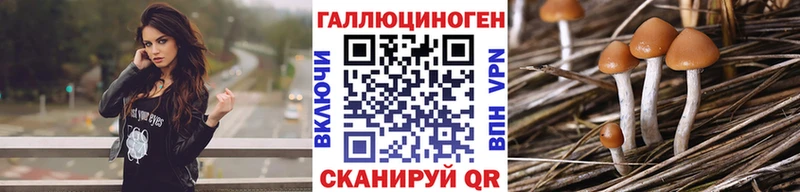 Псилоцибиновые грибы Psilocybine cubensis Томск