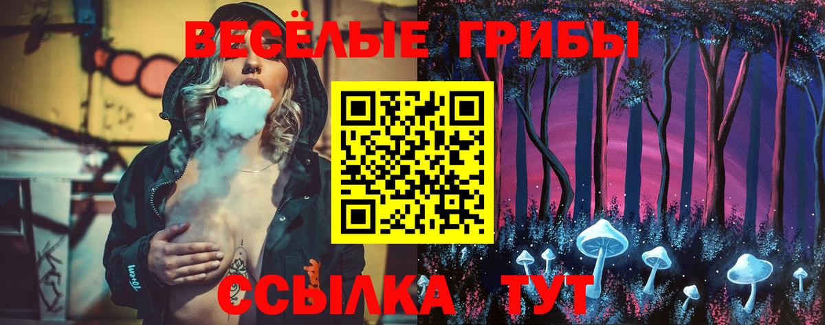 Псилоцибиновые грибы мицелий Томск