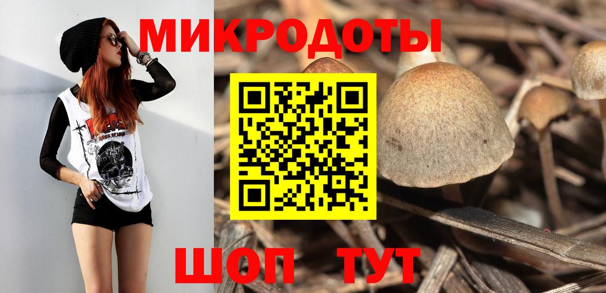 Томск  Псилоцибиновые грибы мухоморы  Вход с VPN 